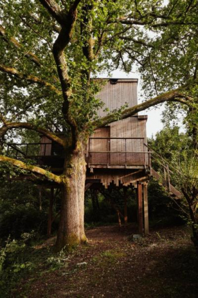Cabane perchée dans les arbres sur lac privé